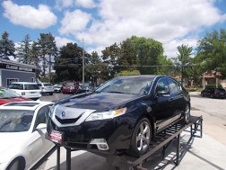 2010 Acura Tl